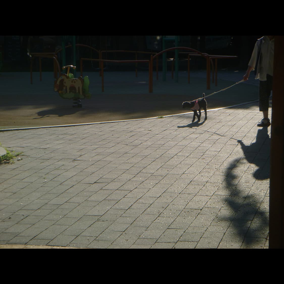 작례⭕️ 파나소닉 루믹스 DMC-FT25 빈티지 디카 디지털카메라 상품이미지5