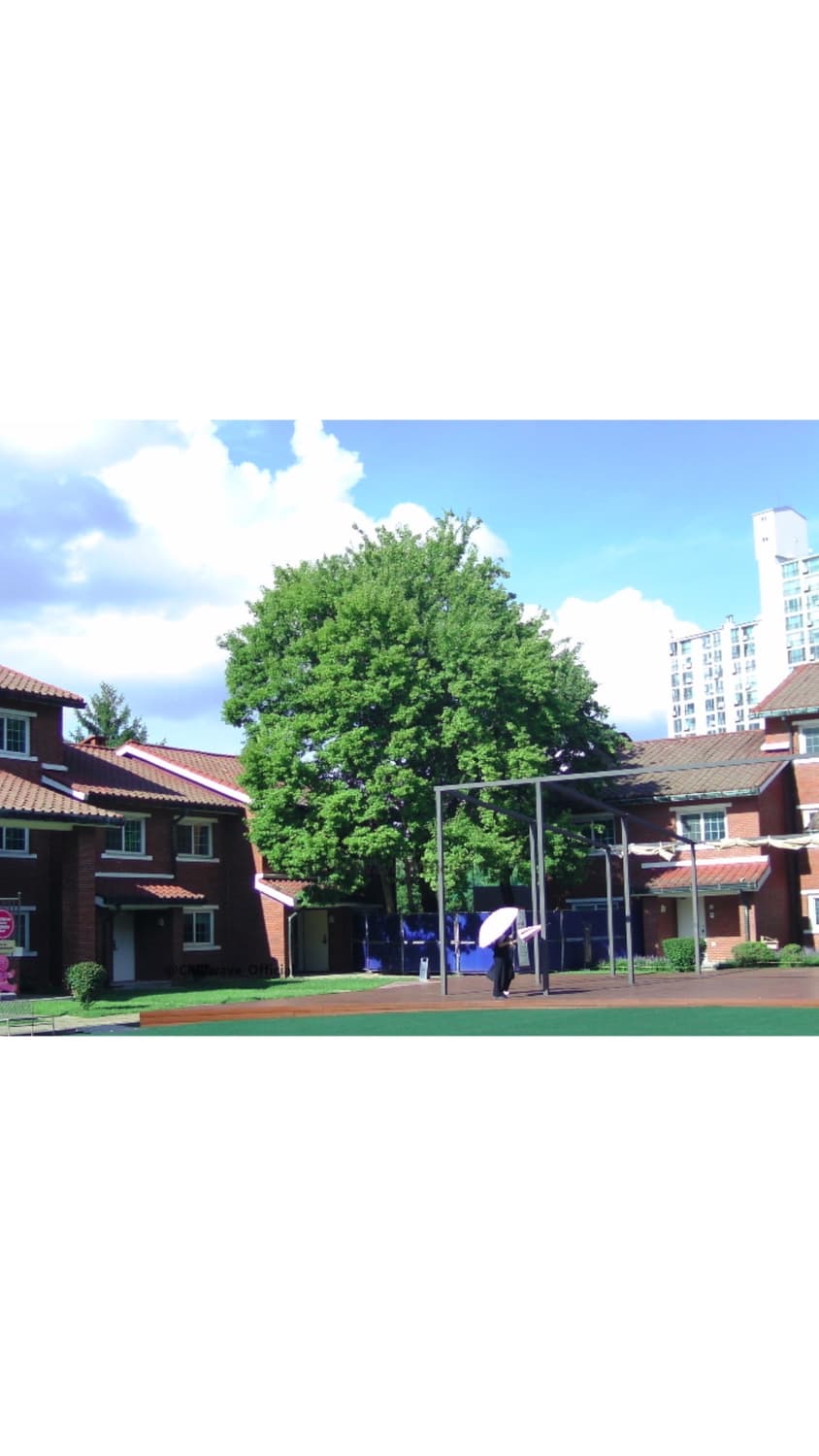 Rollei Comapctline55 상품이미지5