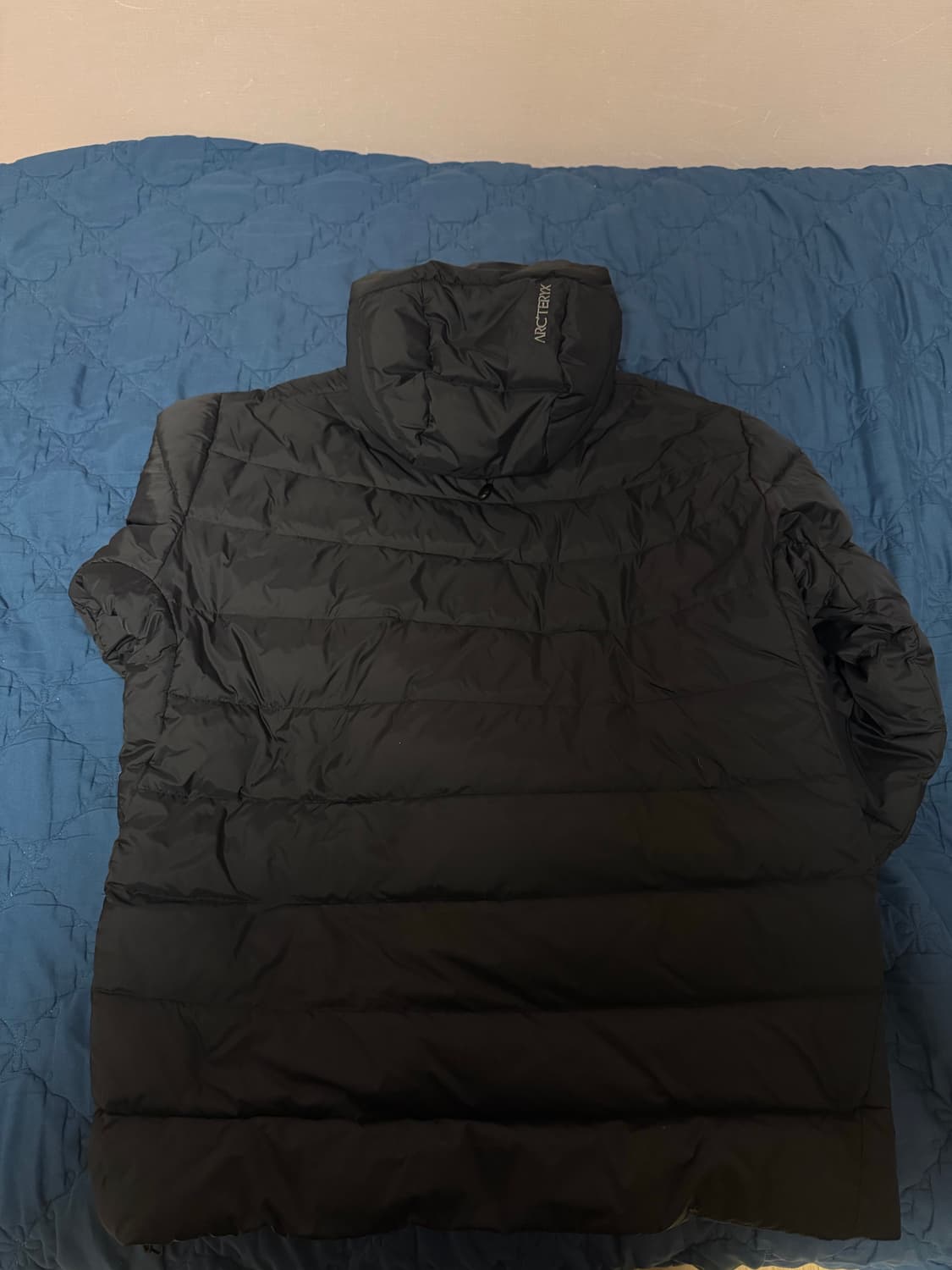 아크테릭스 토륨 후디 블랙 상품이미지2