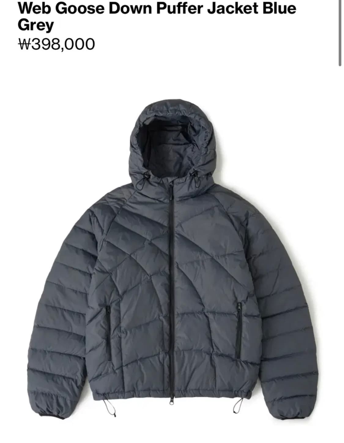 해칭룸 웹구스 다운 3사이즈 블루그레이 상품이미지1