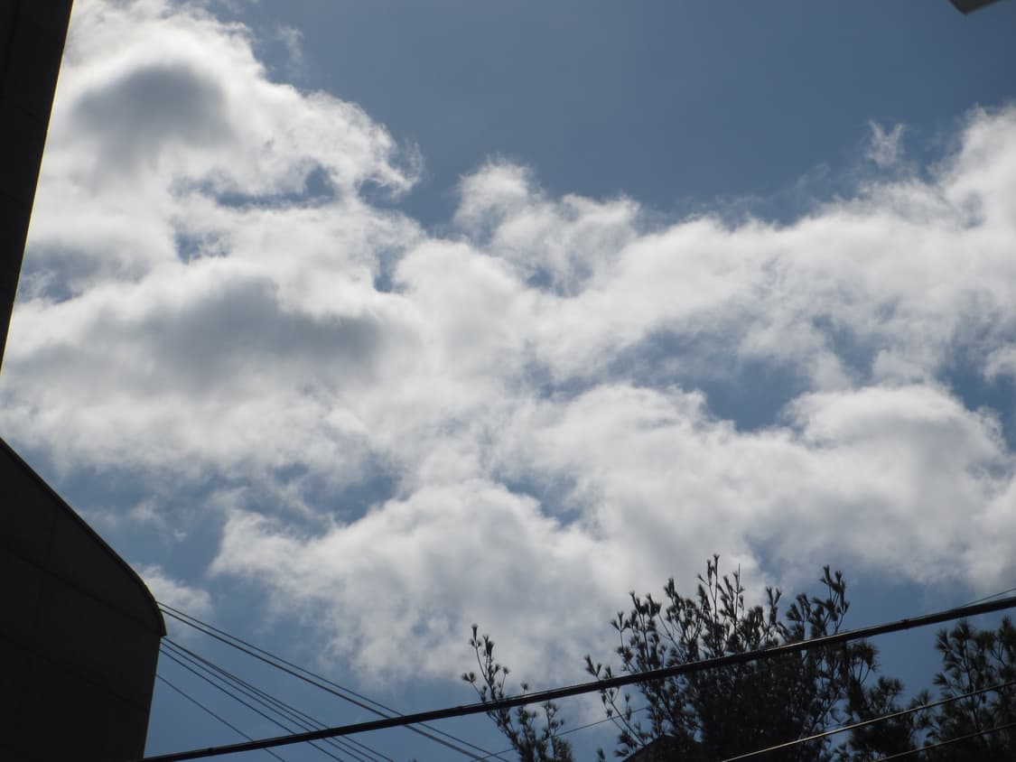 캐논 익시 600F Canon  ixy 600F = ixus 230hs 상품이미지8