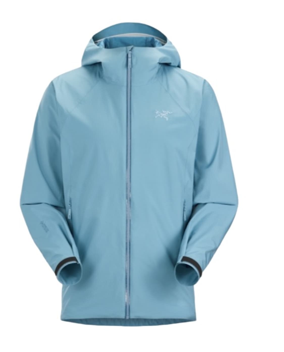 [L] 아크테릭스 카딘 후디 솔레스 상품이미지1