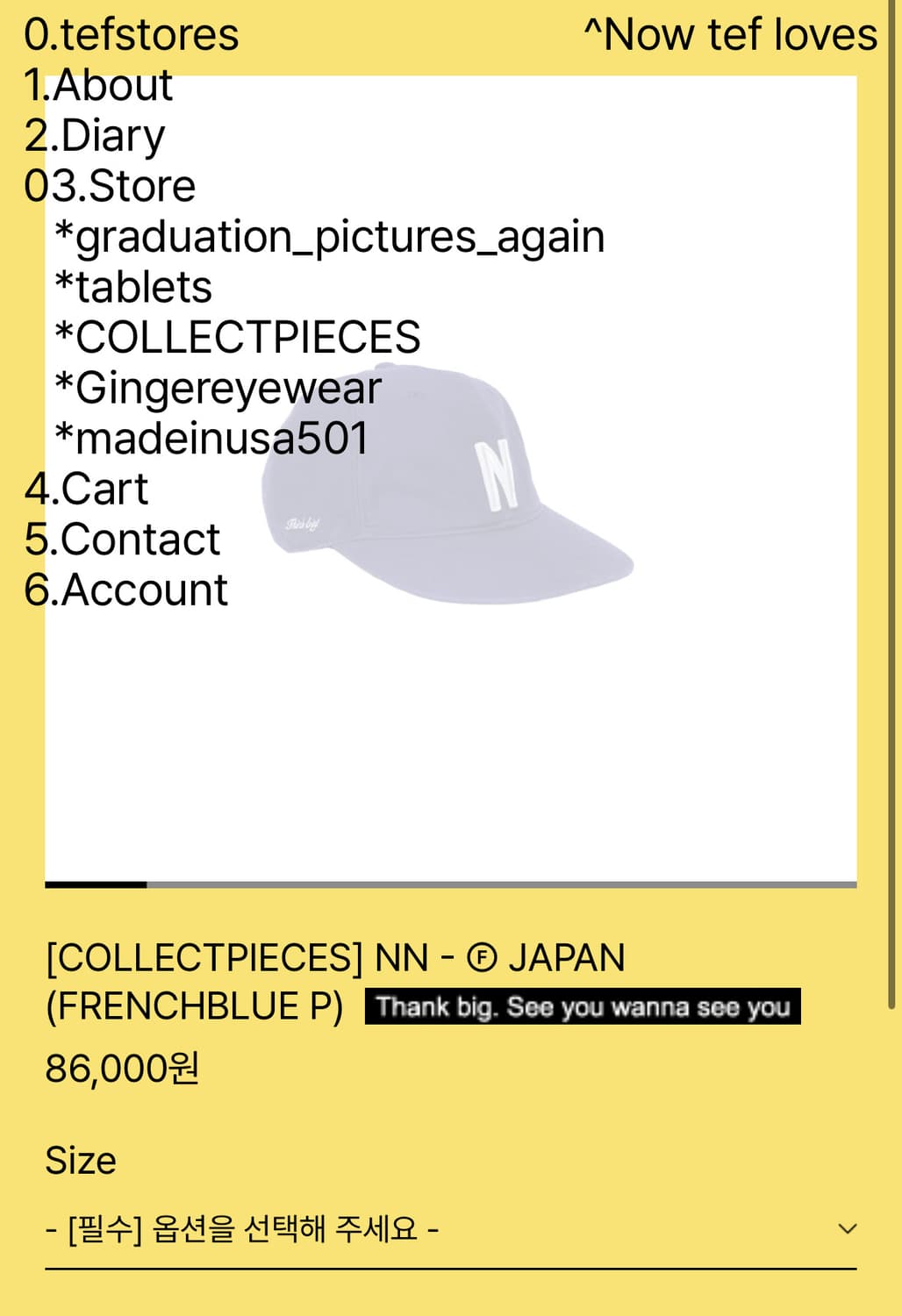 COLLECTPIECES] NN - Ⓕ JAPAN (FRENCHBLUE 상품이미지1