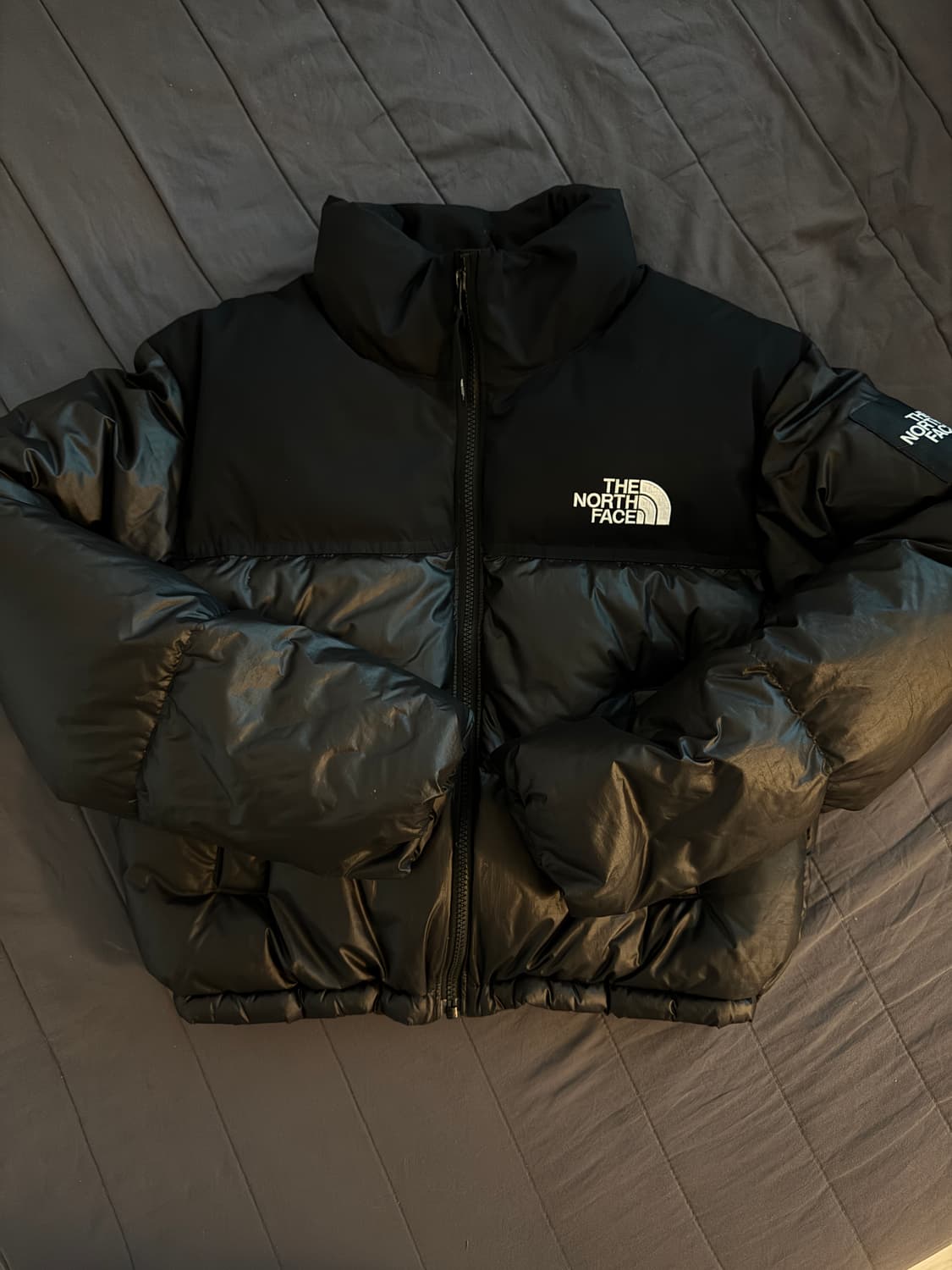 노스페이스 패딩 유광 크롭 눕시 상품이미지3