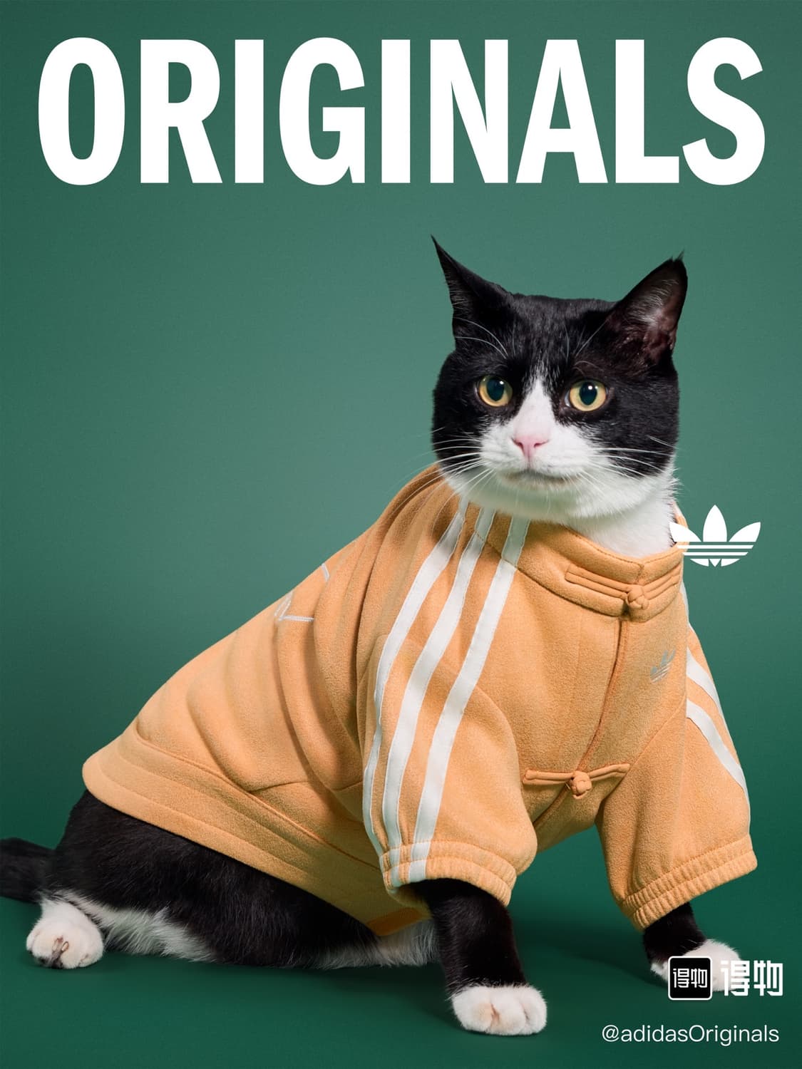 아디다스 강아지 고양이 옷 중티다스 상품이미지2