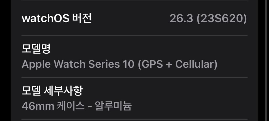 애플워치 10 46mm 실버 GPS+셀룰러 팝니다 상품이미지4