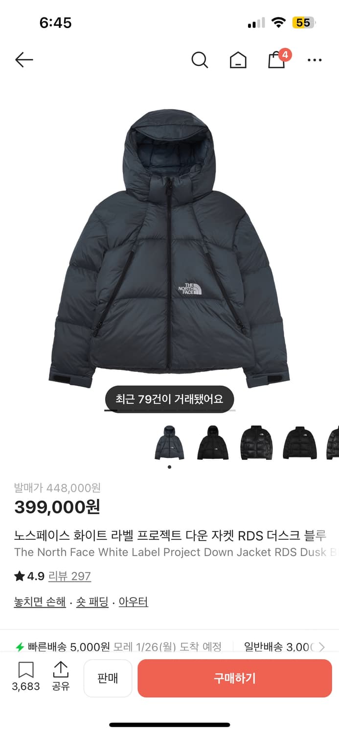 노스페이스 프로젝트다운 상품이미지1