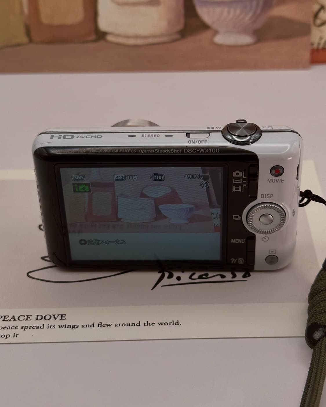 소니SONY Cyber-shot DSC-WX100 상품이미지6