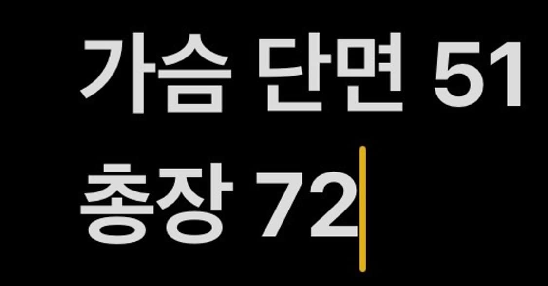 [정품/XS] 피엘라벤 라벤 자켓 b17 상품이미지10