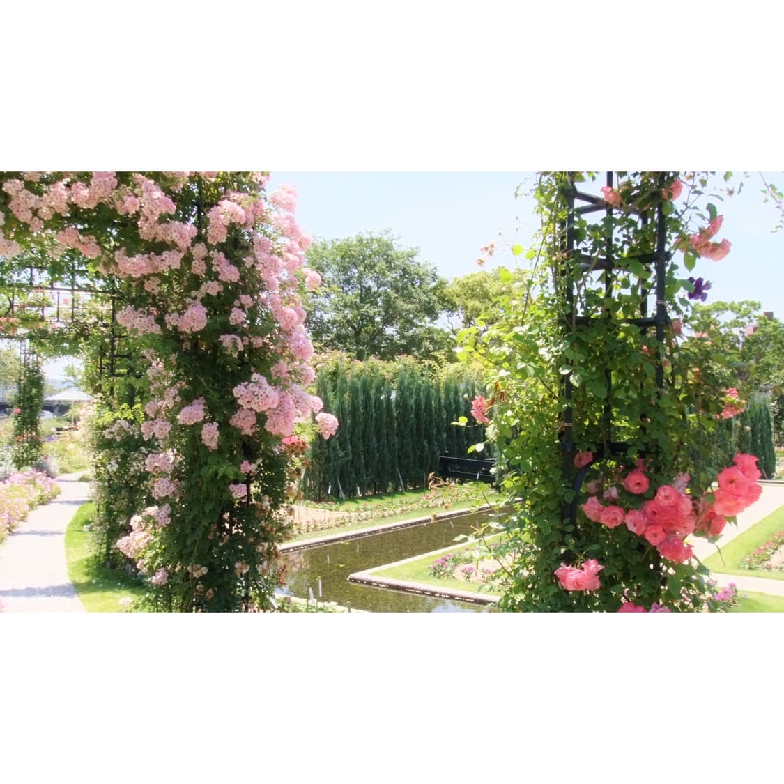 후지필름 파인픽스 Z700EXR 핑크 빈티지디카 상품이미지3