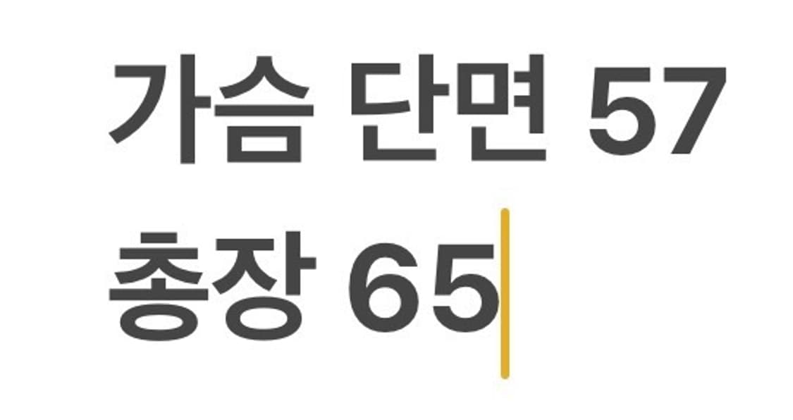 [100] 삼성라이온즈 블루 화이트 야구 점퍼 c1 상품이미지8