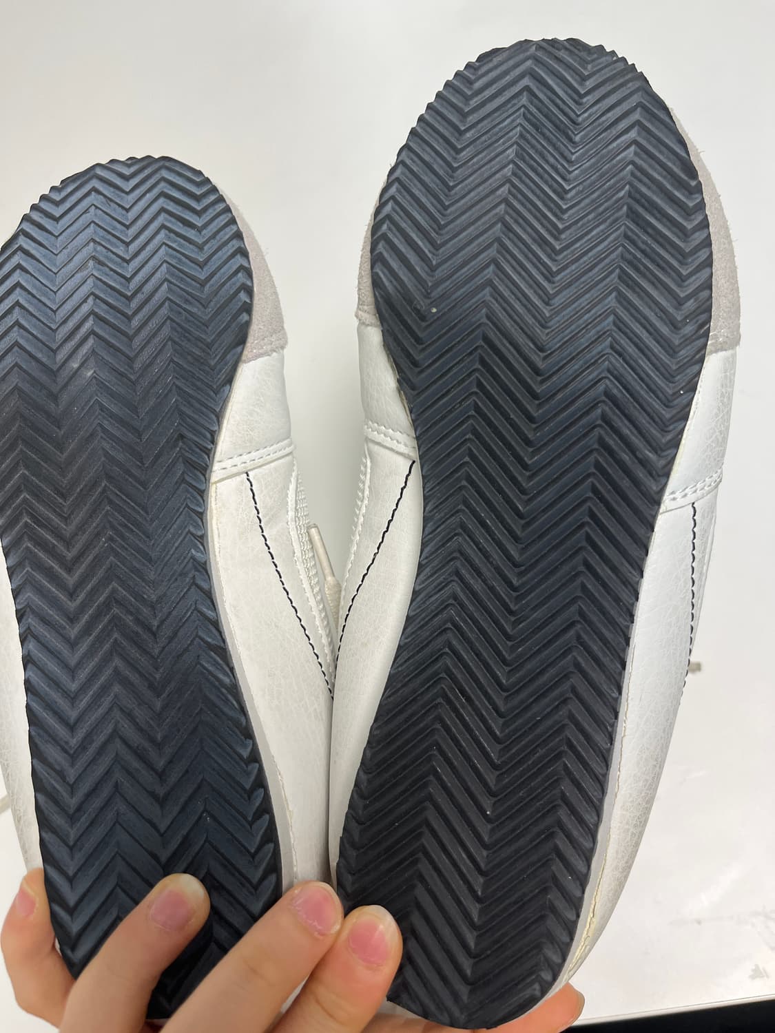 에버라스트 복싱화  상품이미지5