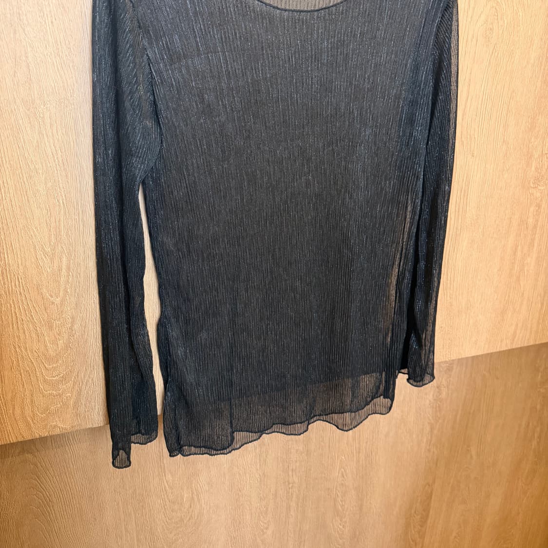 빈티지 라운드넥 롱슬리브 시스루 블라우스 플리츠 텍스처 디테일 블랙 상품이미지4