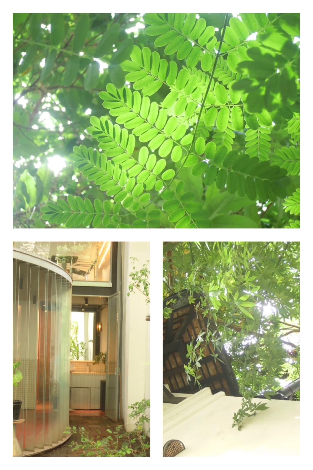 츄디카••초미품/작례🫧𖠳ᐝ 니콘 NIKON COOLPIX S5100 상품이미지4