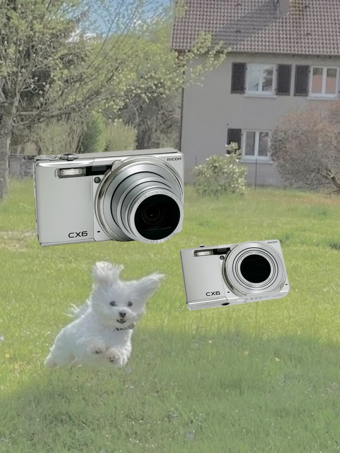 고사양!) 리코 cx6 ricoh 빈티지 디카 상품이미지1