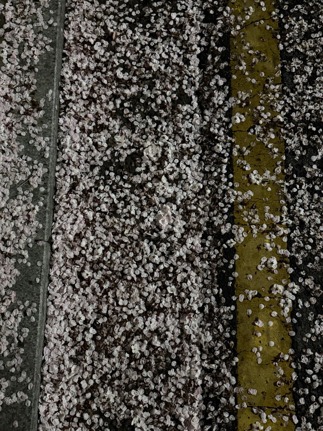 결제창 전용 상품이미지1