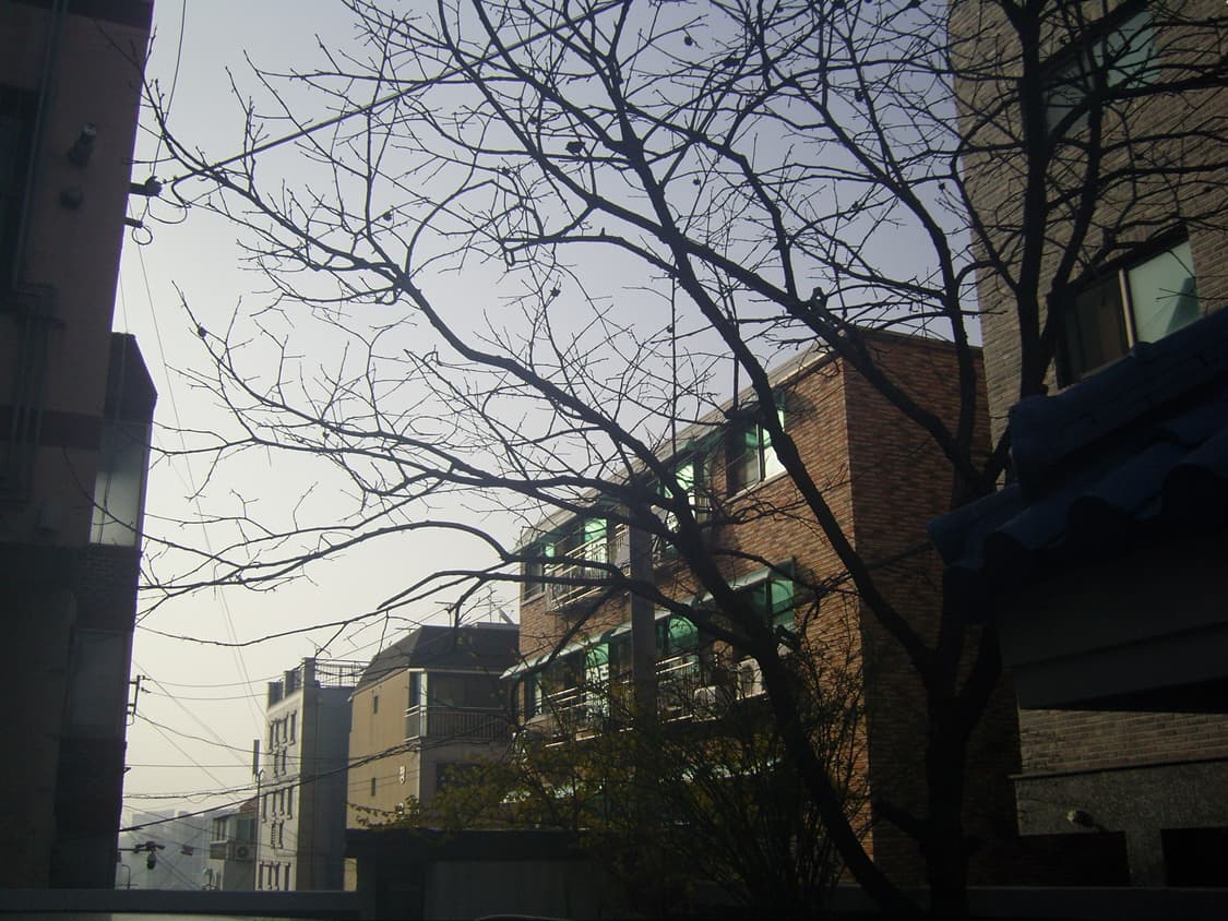 삼성 VLUU NV10 블랙 디카 (빈티지 카메라) 상품이미지8