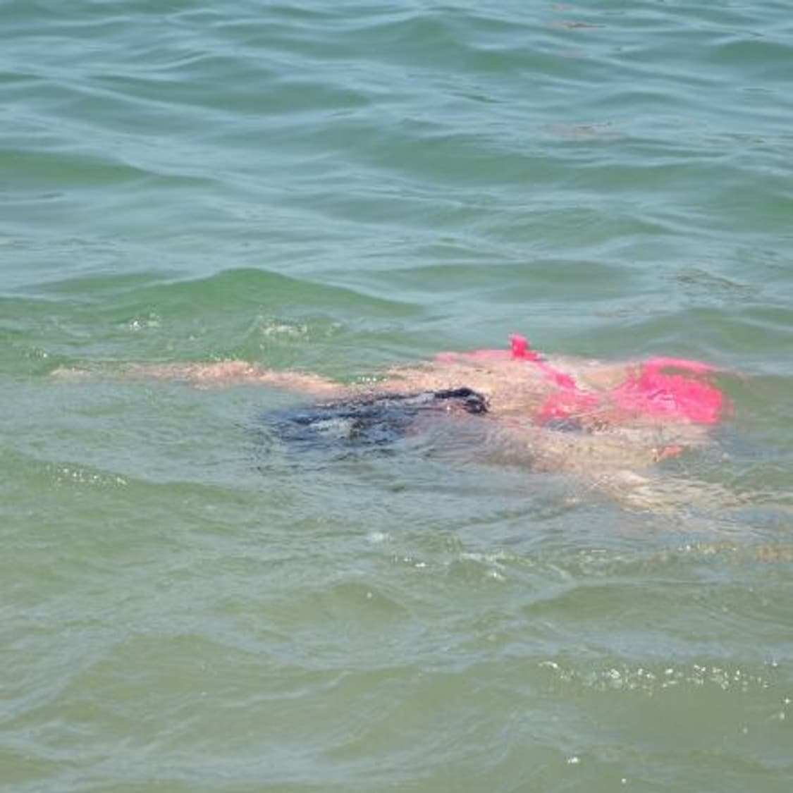 셀카✧･ﾟSamsung MV900F 삼성 한효주 디카 미러팝 상품이미지4