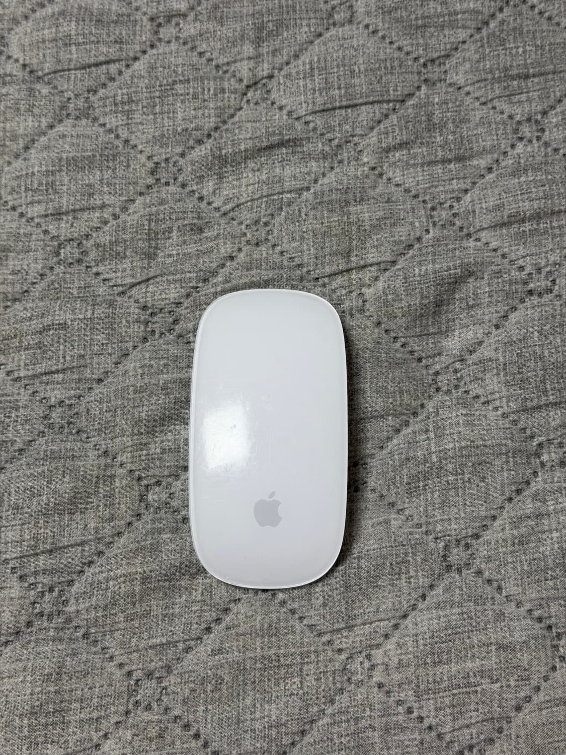 애플마우스2 c타입 상태s 상품이미지2