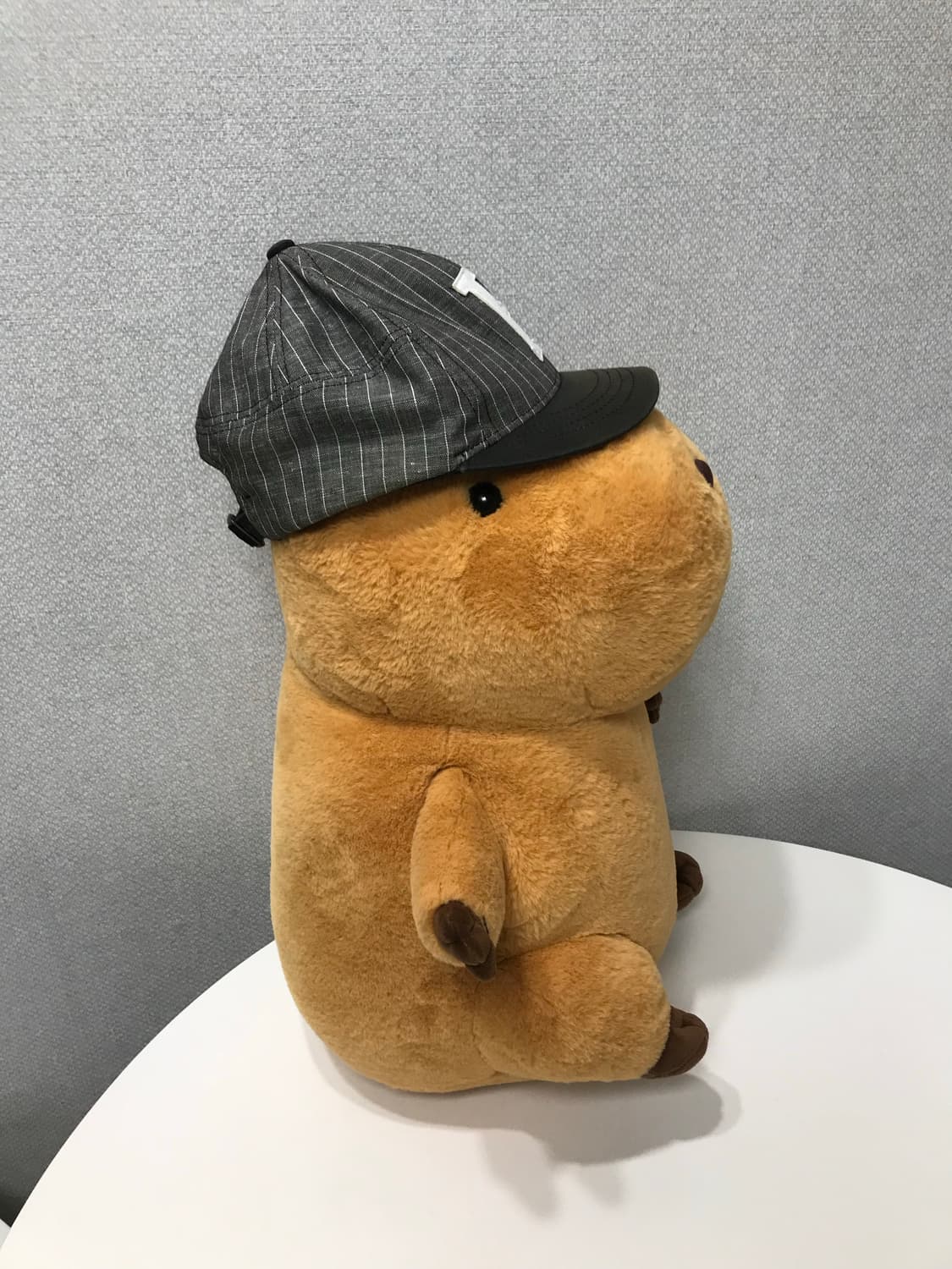 스트라이프 캠프캡 상품이미지7