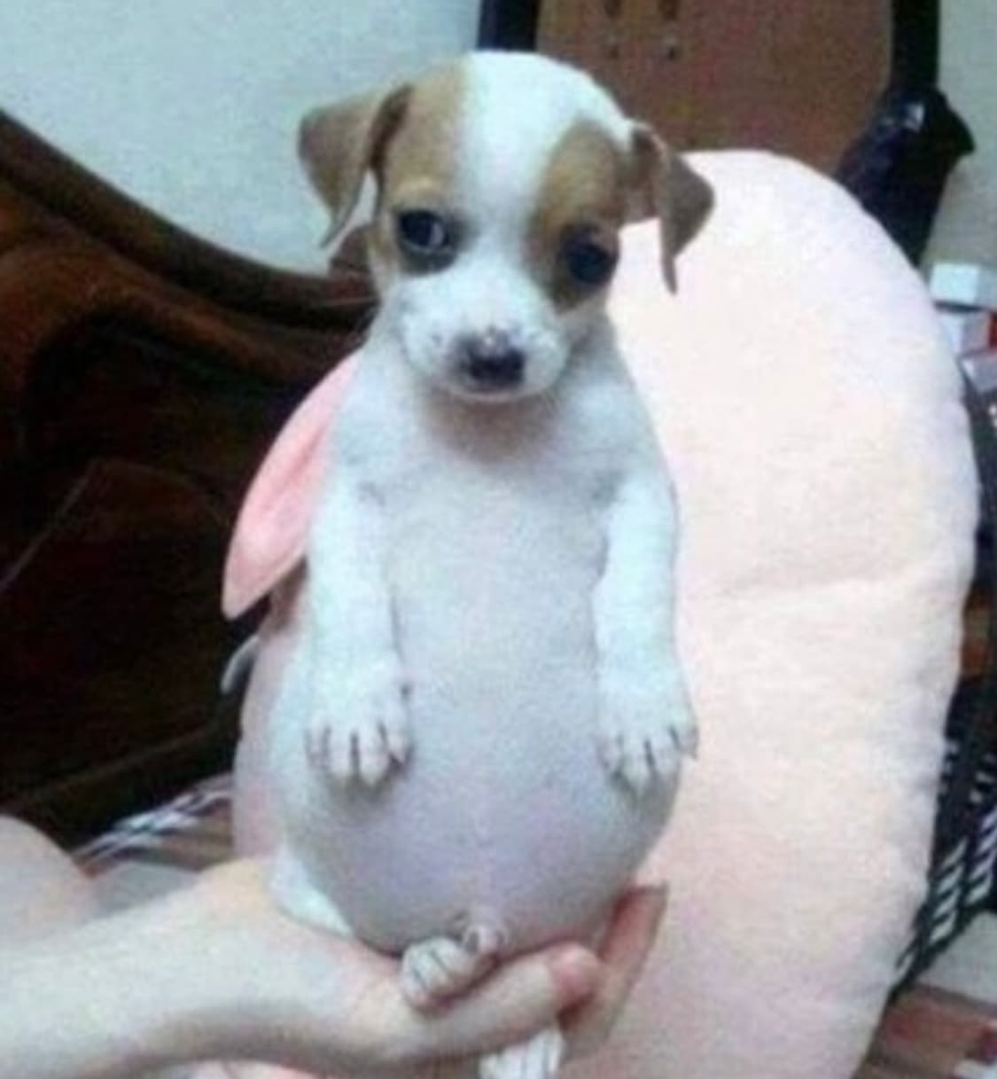 거래창 상품이미지1