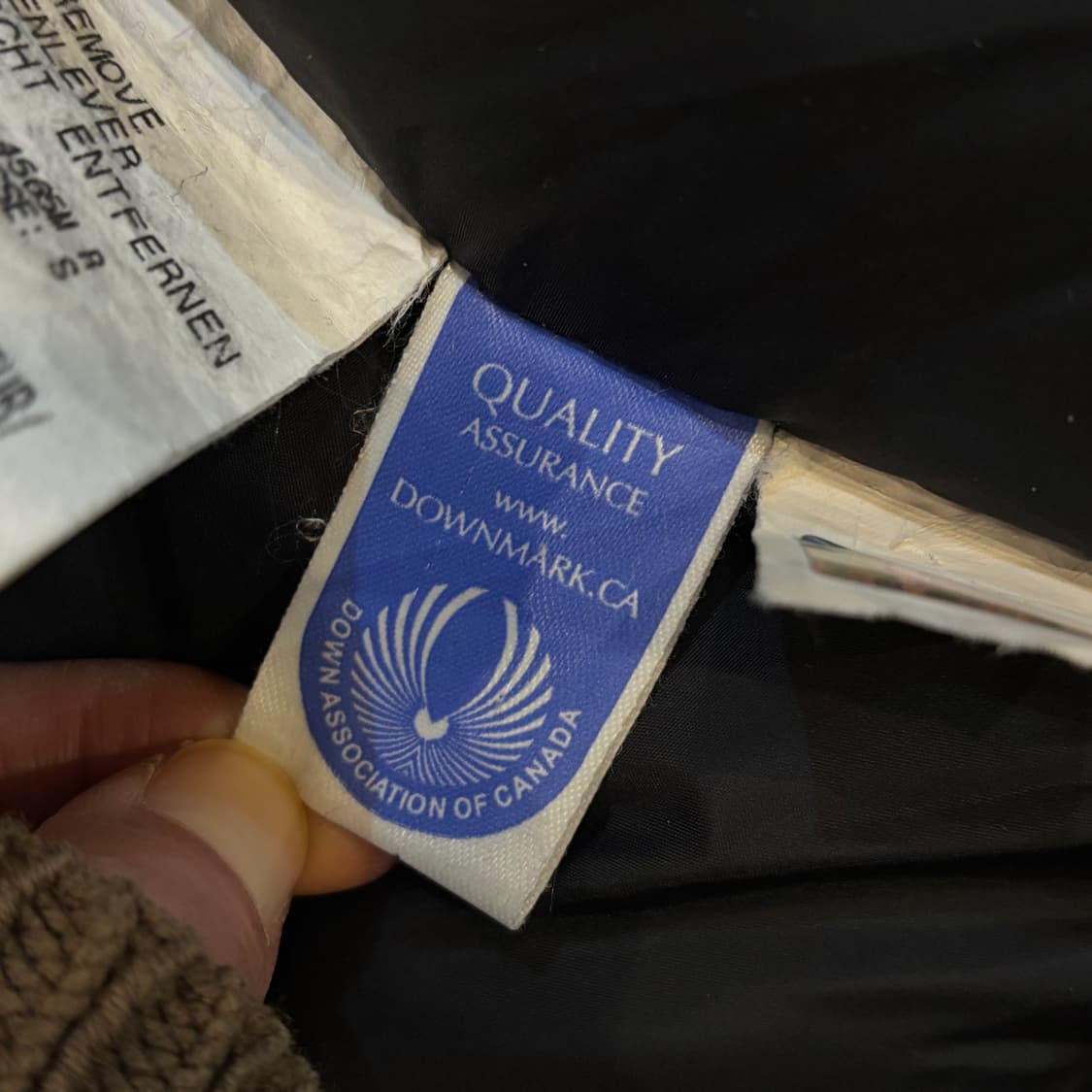 캐나다구스 익스펜디션 남자 s 상품이미지7