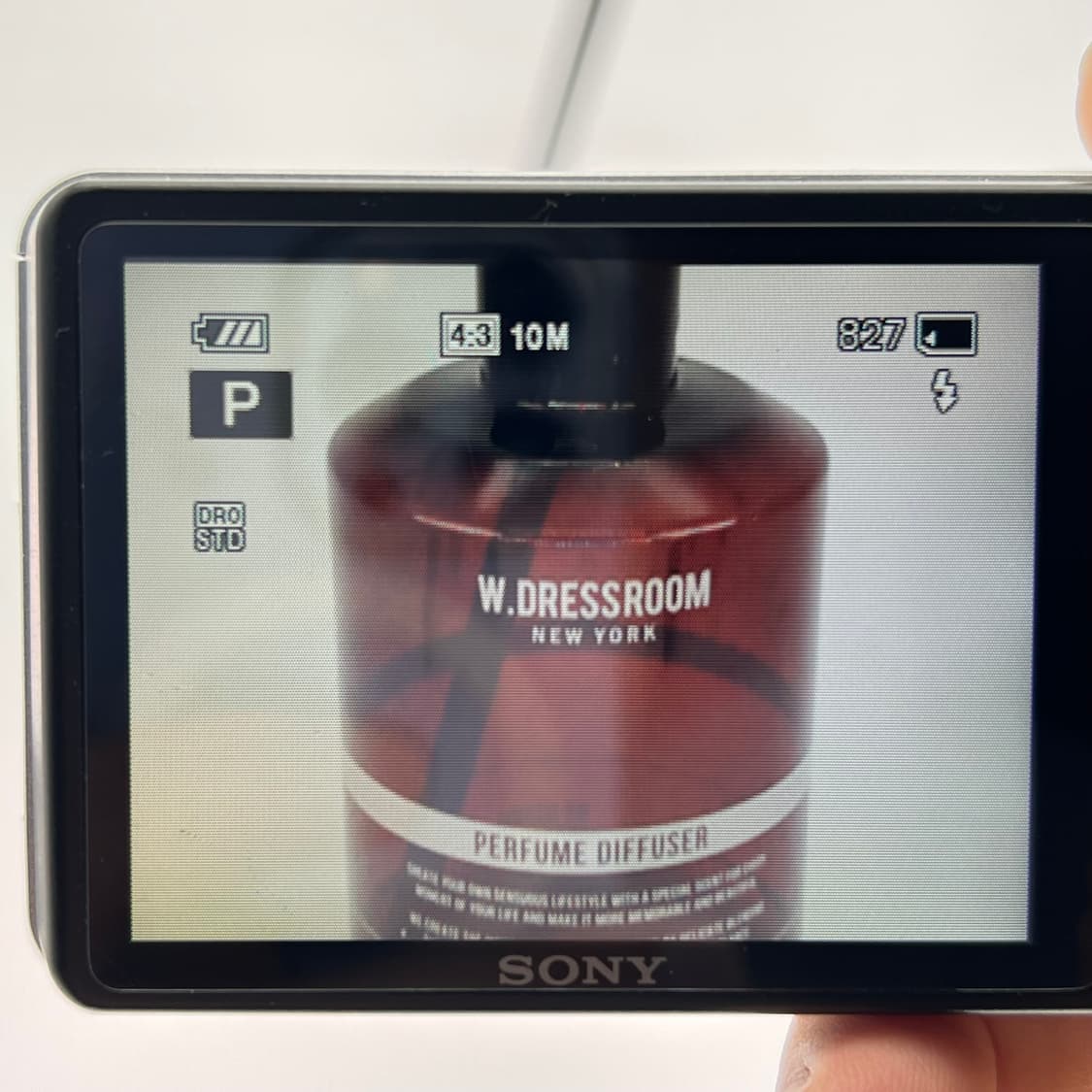 소니 사이버샷 Sony Cyber-shot DSC-W350 실버 상품이미지9