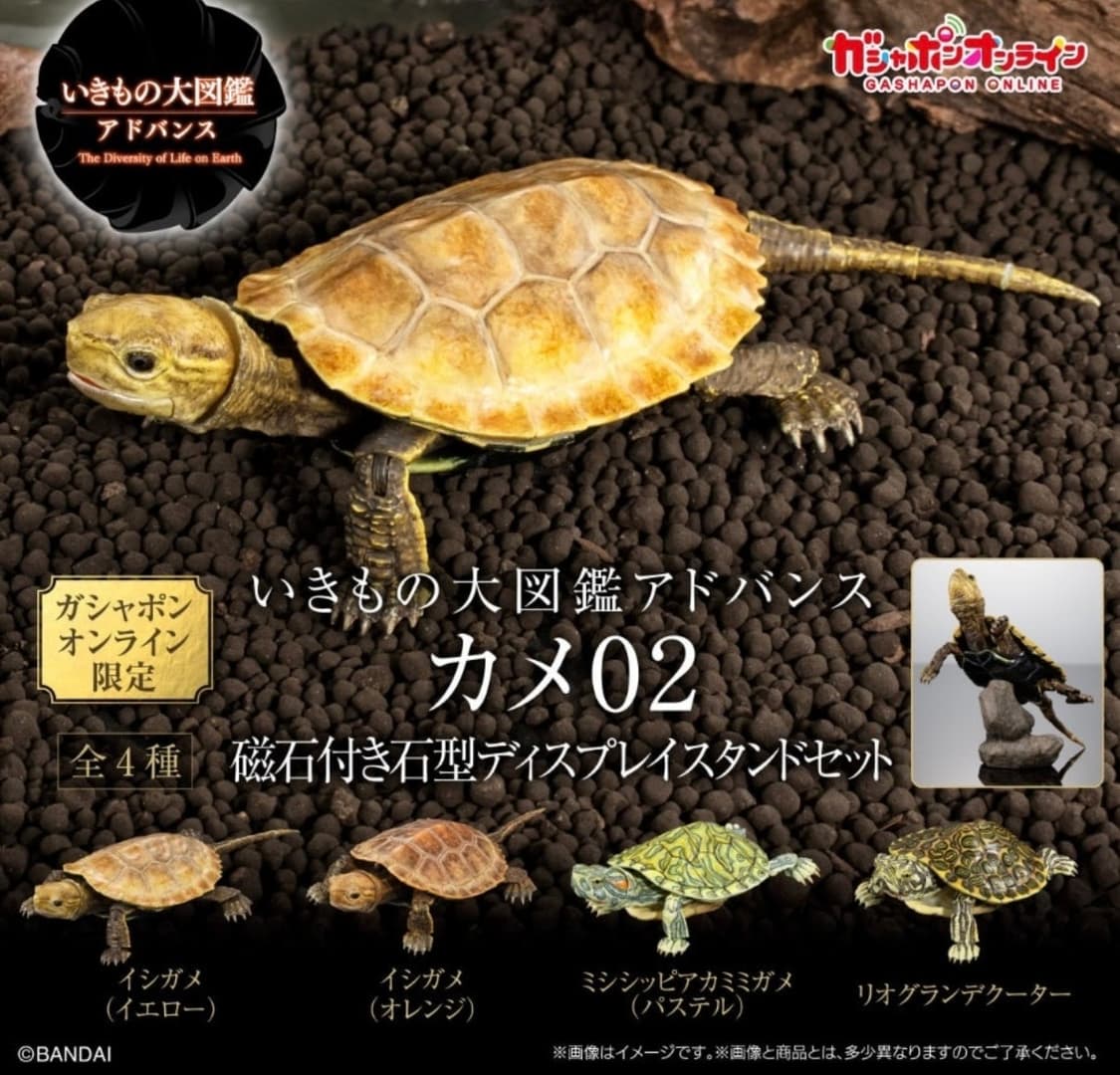 반다이 생물대도감 어드밴스 거북02 붉은귀거북 파스텔 상품이미지1