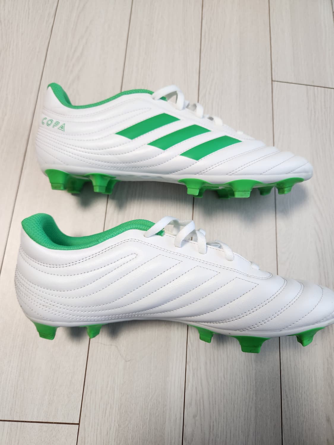 아디다스 축구화 코파 19.4 FG D98069 사이즈260

축구화/남 상품이미지6