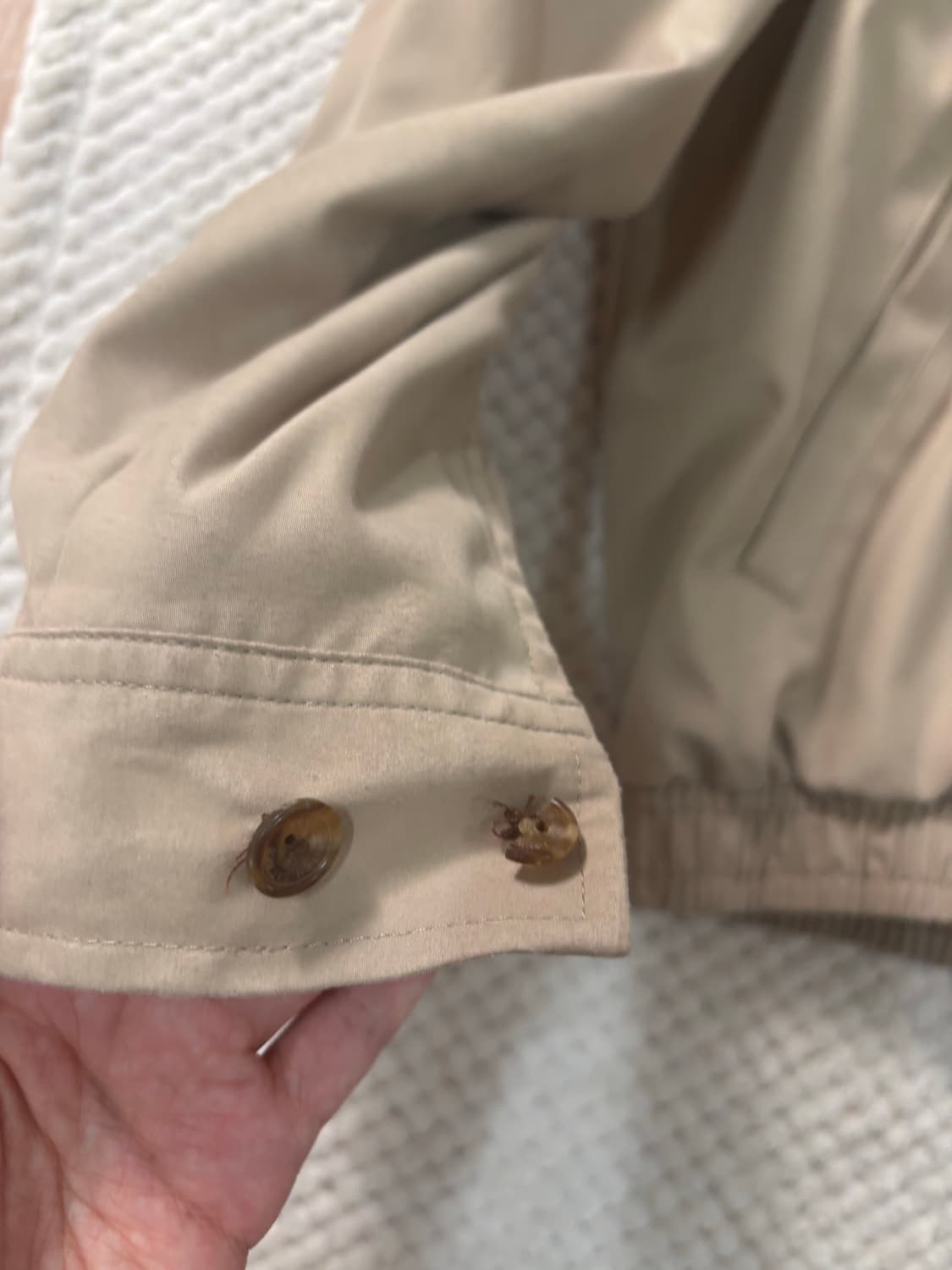 폴로자켓 남성 100 상품이미지2