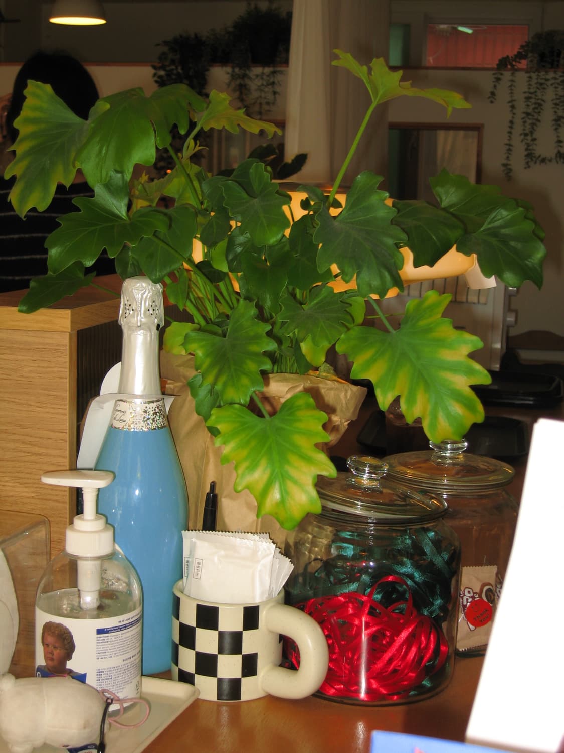 캐논 익서스 750 아일릿 원희 디카 상품이미지4