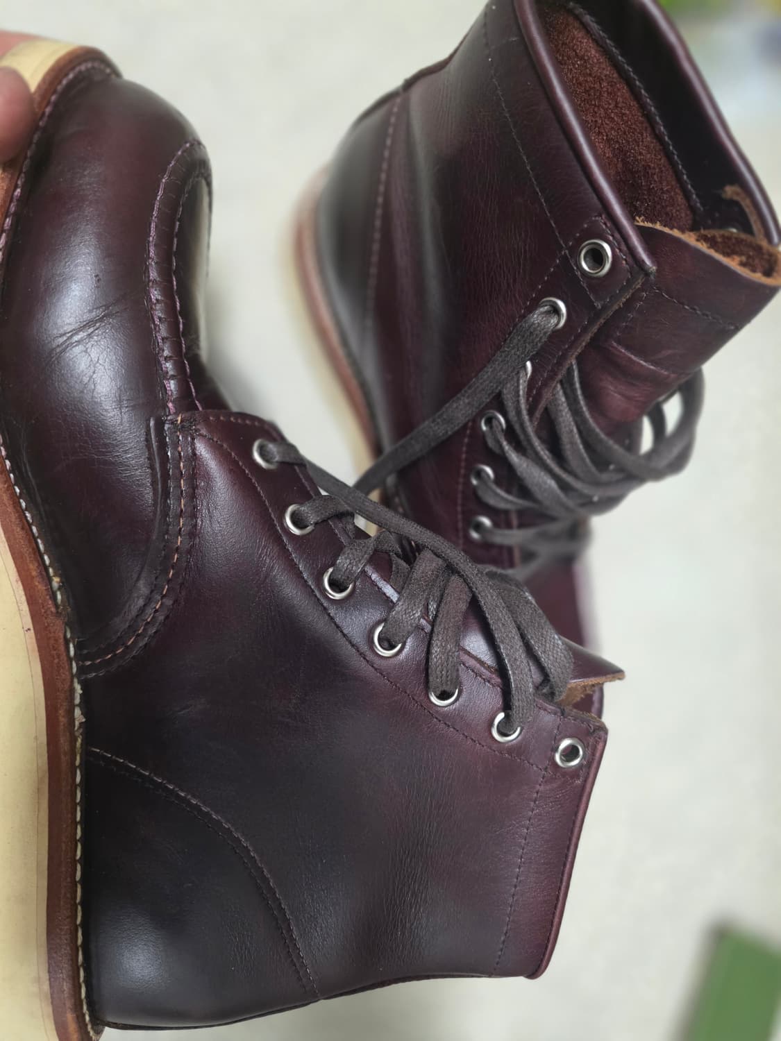 치페와 목토 블랙로즈 판매 상품이미지5