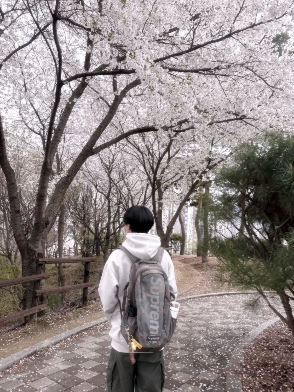후드집업 상품이미지5