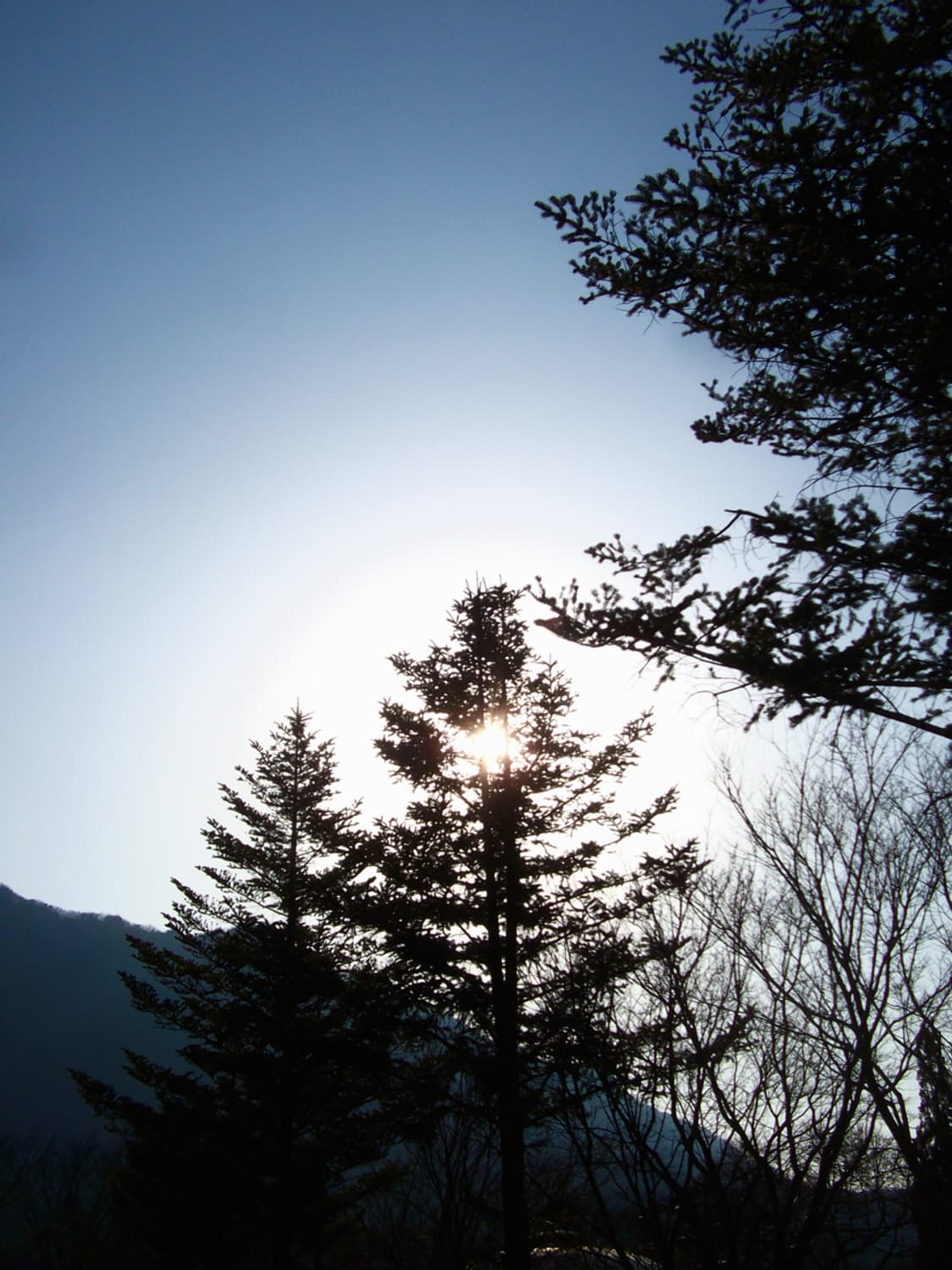 후지필름 FinePix JV110 상품이미지4