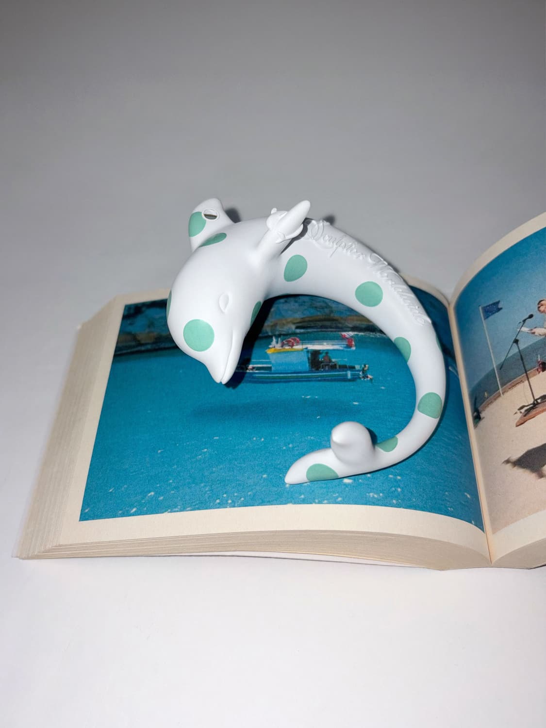 Dolphin Bangle Dot (Keyring) 상품이미지2