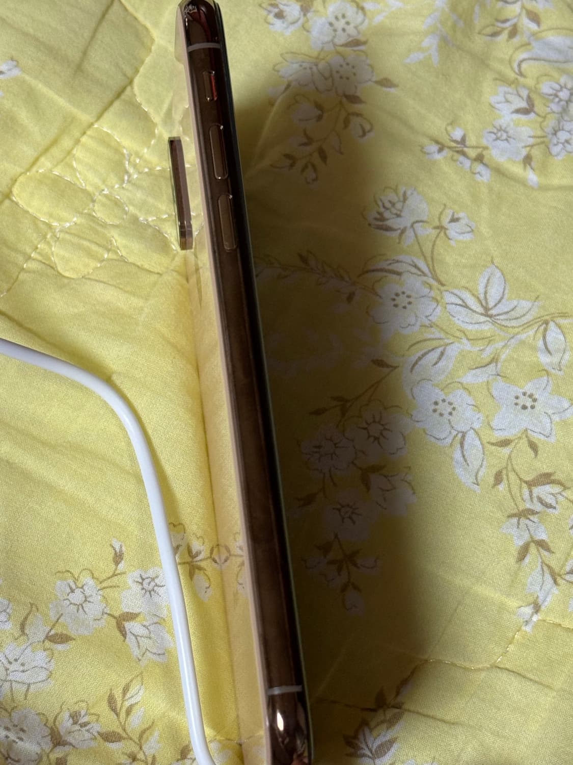 아이폰 xs 256 배터리 100 카메라 무음 상품이미지2