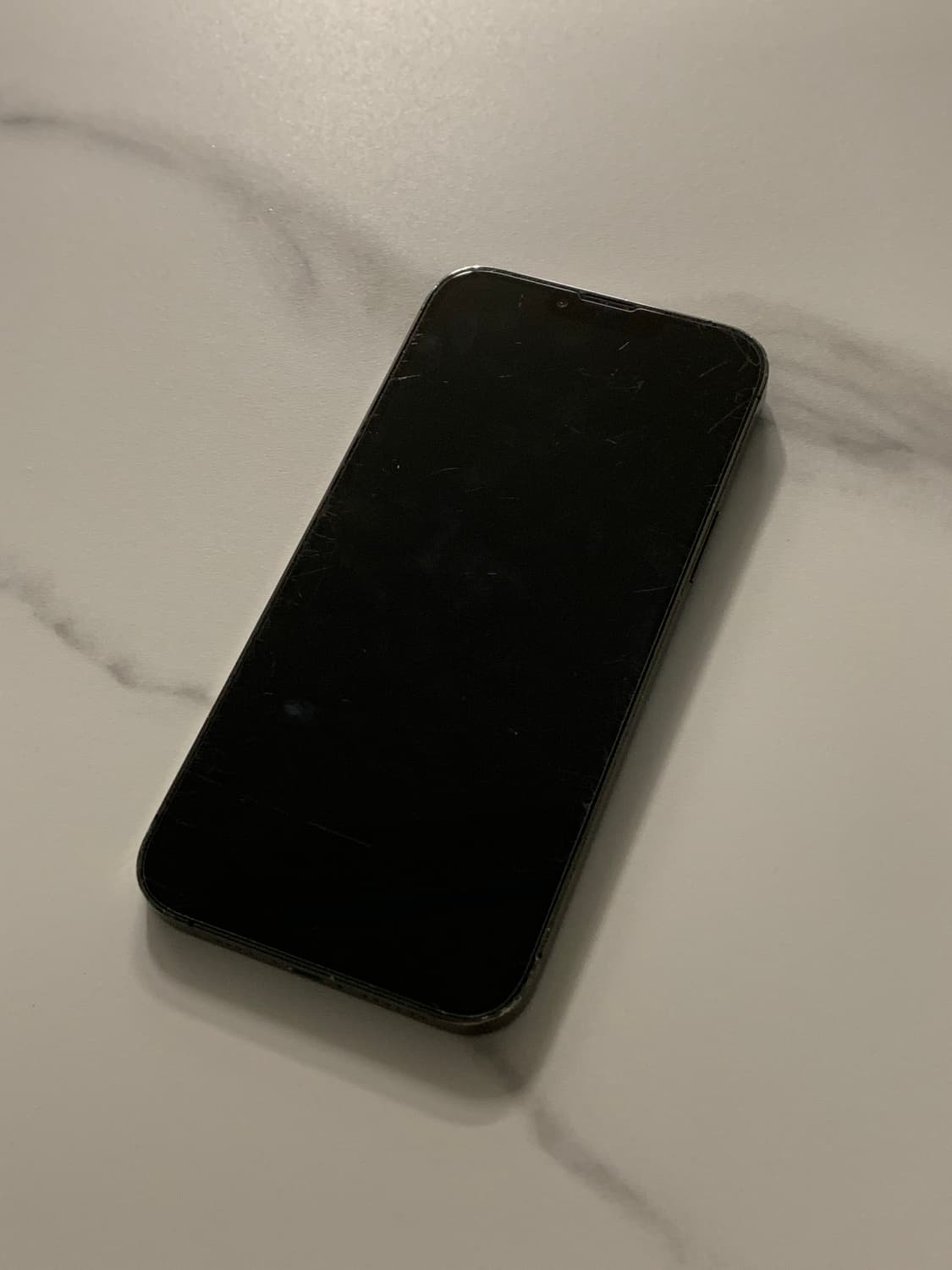 아이폰 13 프로맥스 그래파이트 128기가 상품이미지2