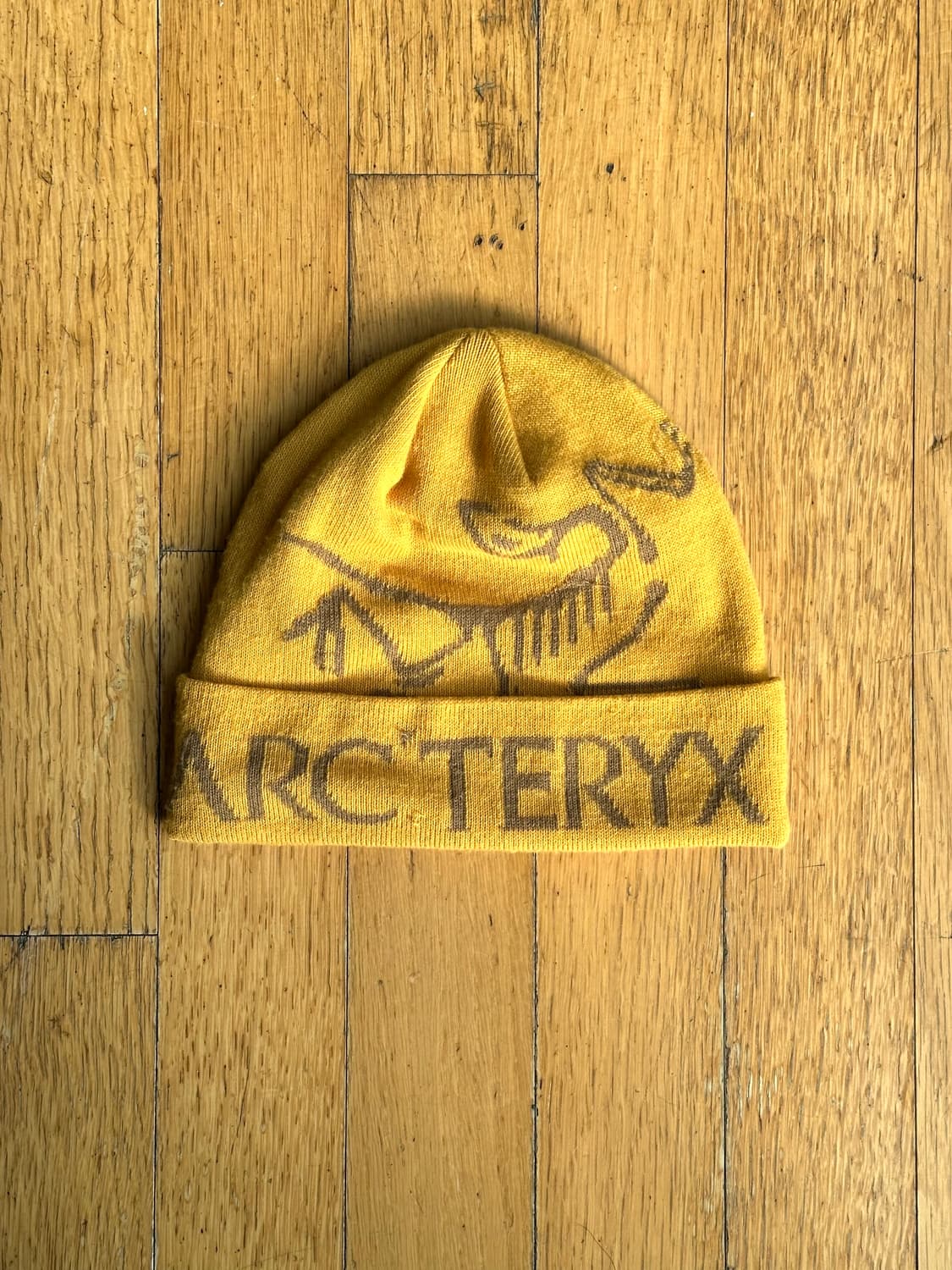 Arcteryx Bird Word Toque Beanie 상품이미지1