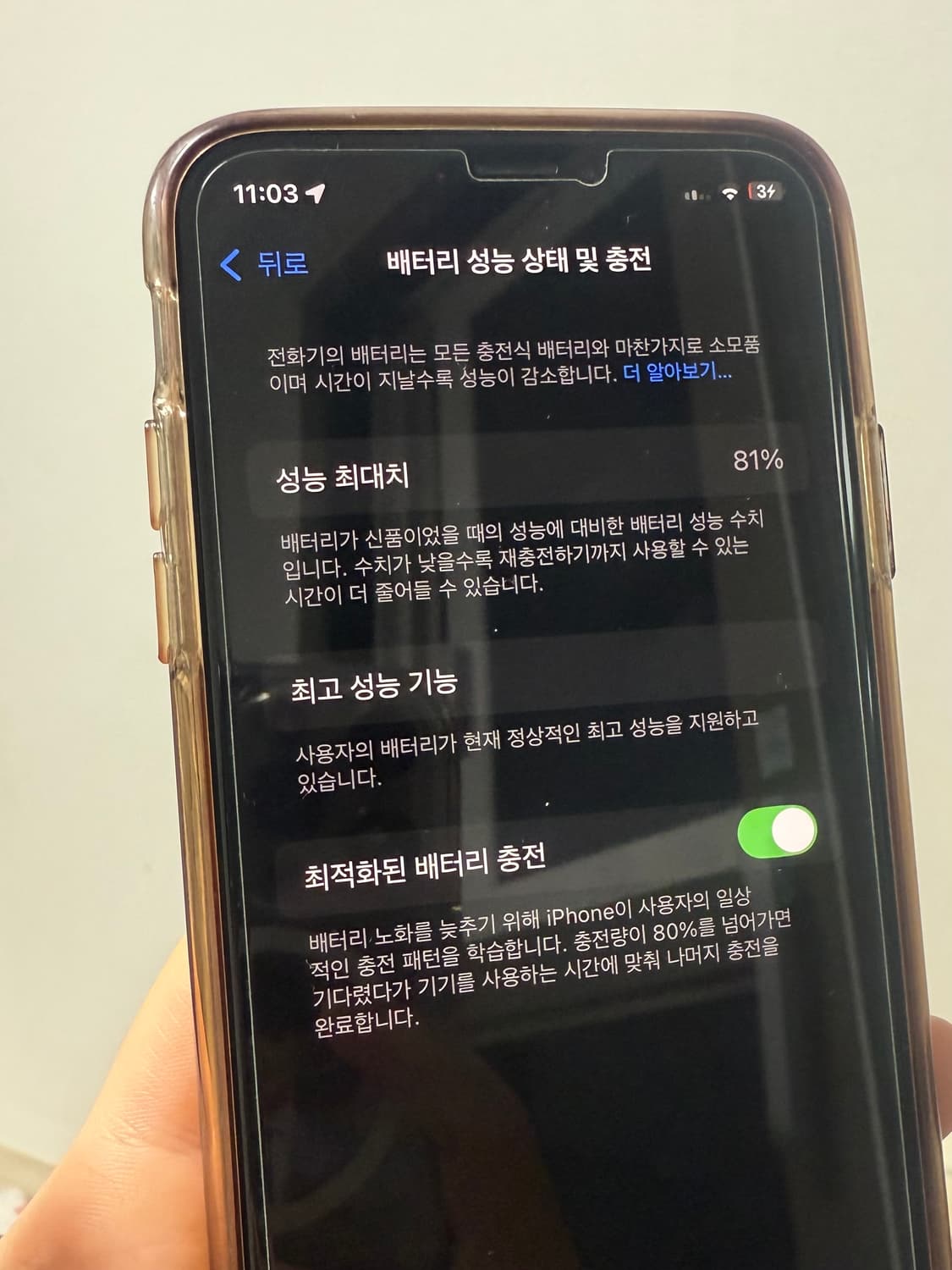 아이폰 xs 259gb  상품이미지10
