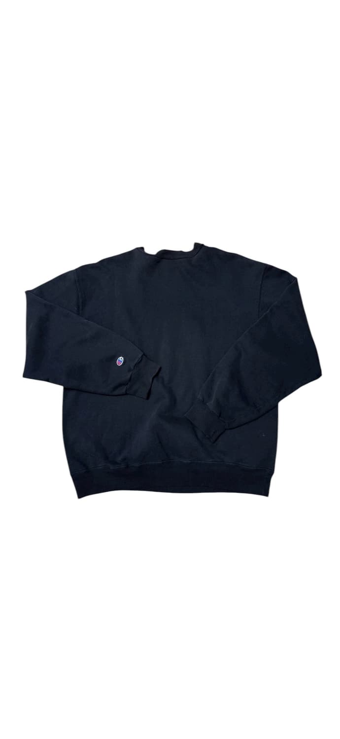 챔피온 샬럿 호네츠 맨투맨 상품이미지3