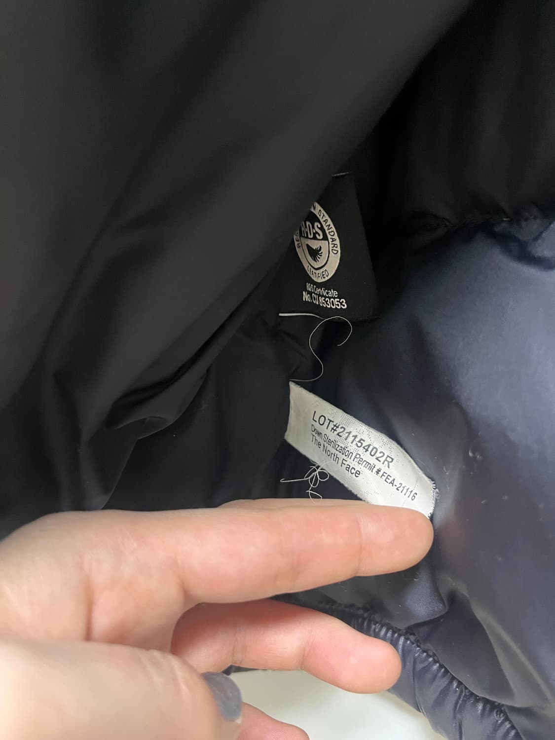 노스페이스 여자 패딩 상품이미지4