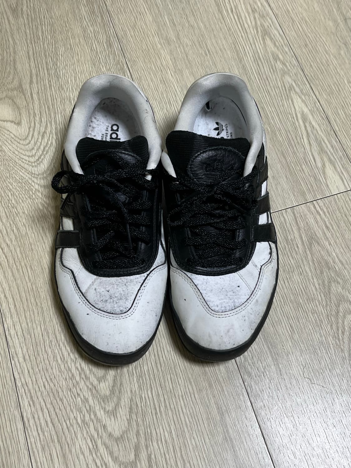 아디다스 알로하 마크 곤잘레스 250 상품이미지3