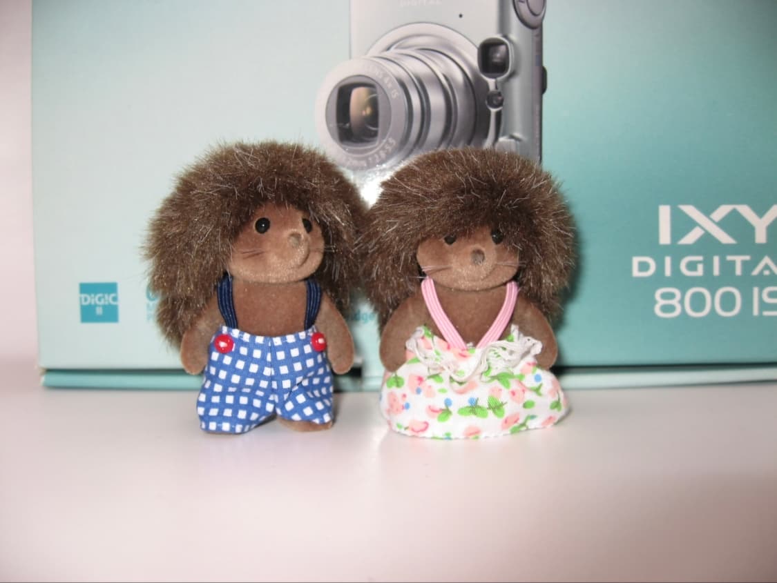 박스셋✨️ Canon IXY 800 IS 🩶 그레이 ✨ 셀럽 감성 상품이미지6