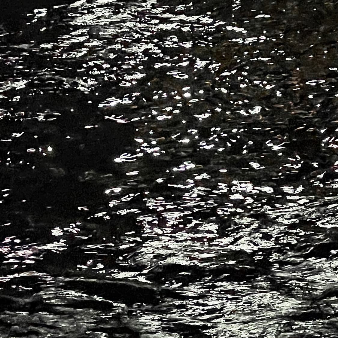 산산기어 사이드 스냅 팬츠 블랙 (2) 상품이미지1