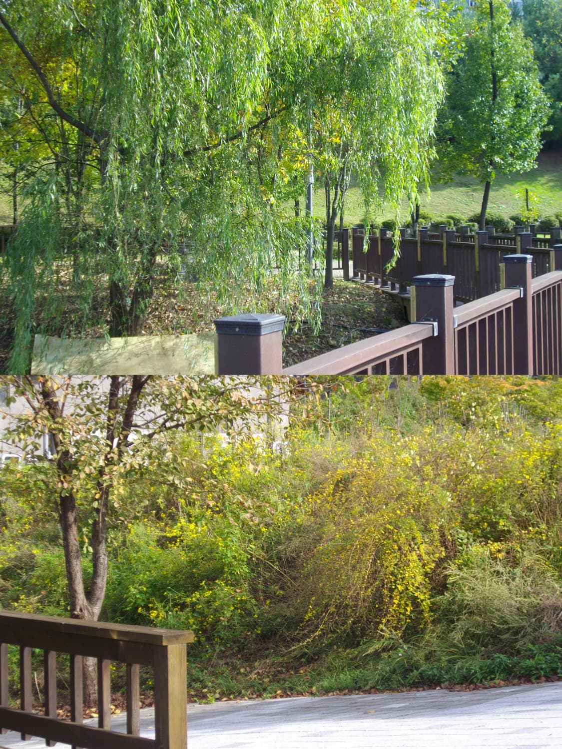 📸 펜탁스 옵티오 Optio E50 빈티지 디지털카메라 판매 상품이미지3