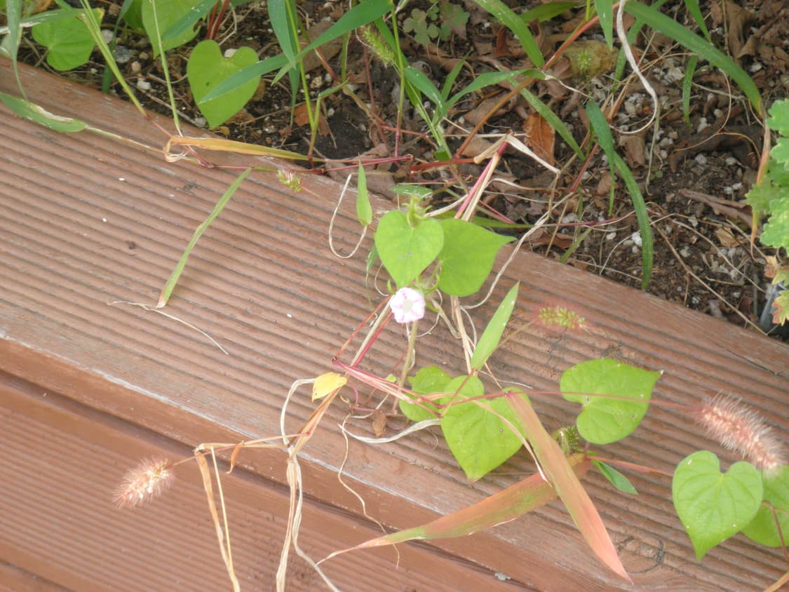 올림푸스 뮤 5010 디카 (작례 O) 상품이미지9