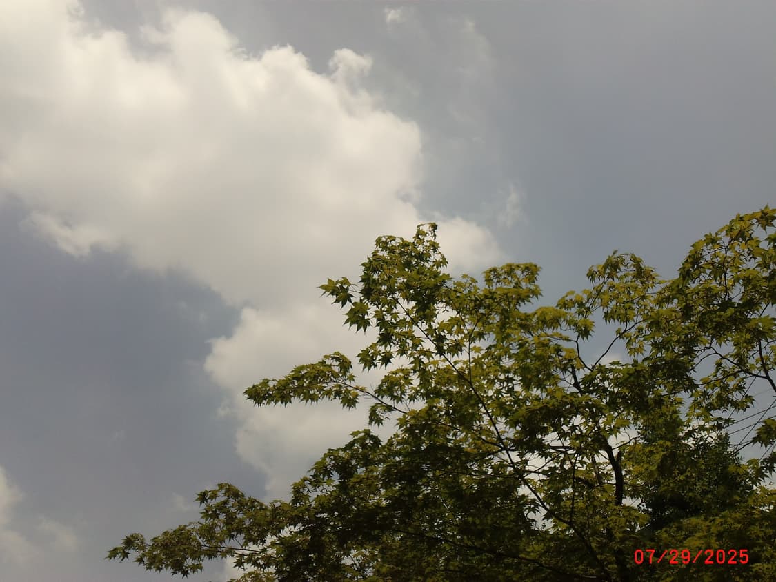 제너럴 일렉트로닉 GE DV1 캠코더디카 상품이미지9