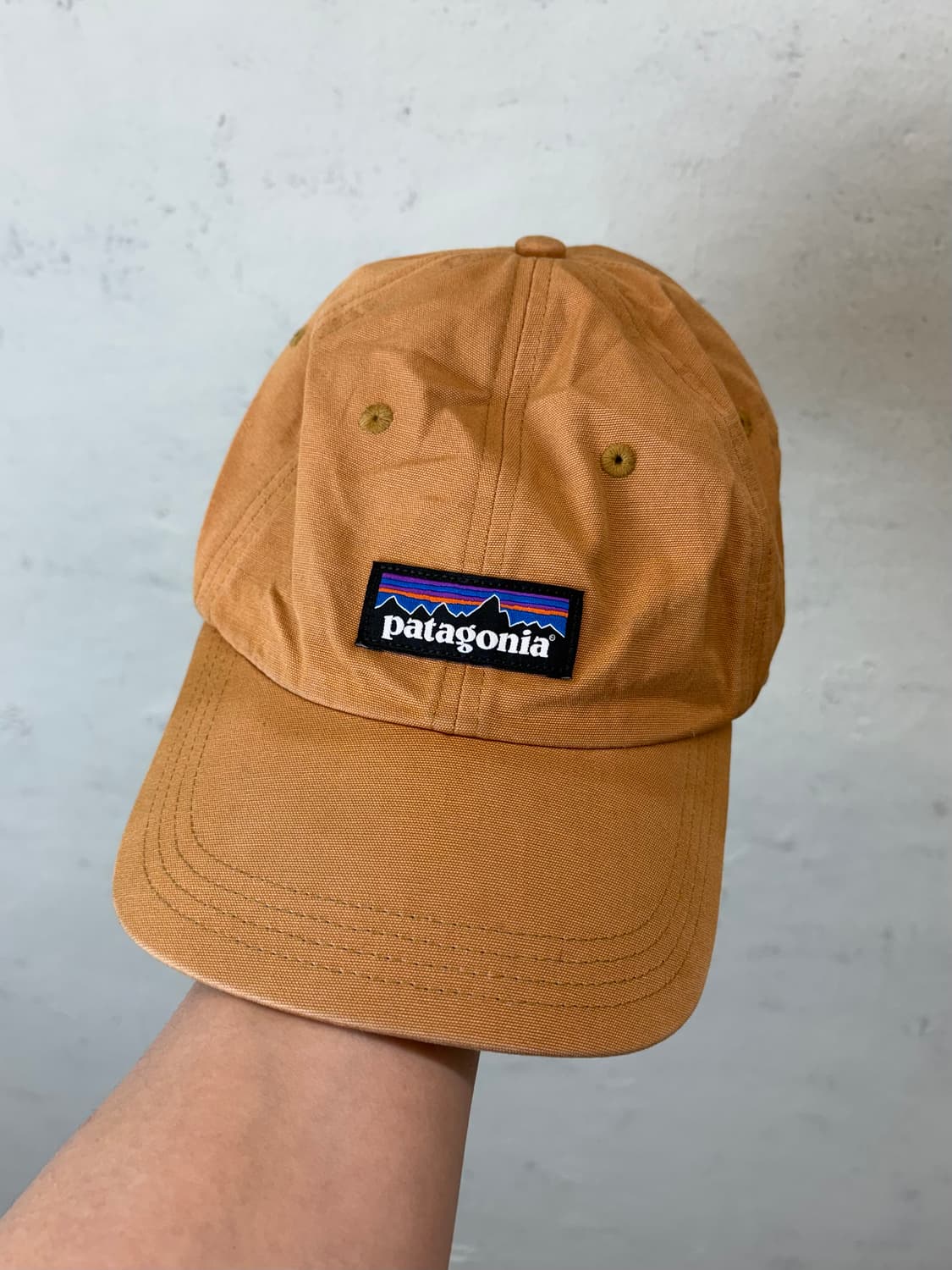 파타고니아 볼캡 상품이미지1