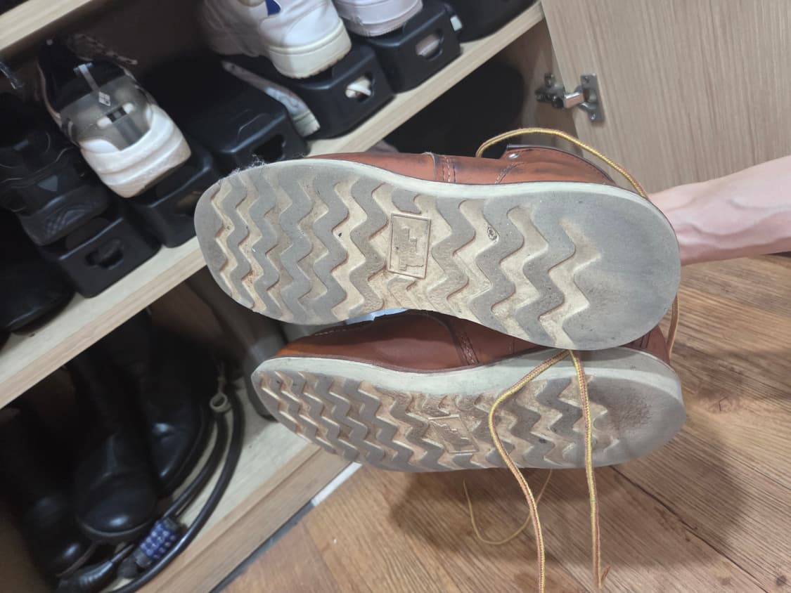 레드윙 875 260 발볼e 상품이미지4