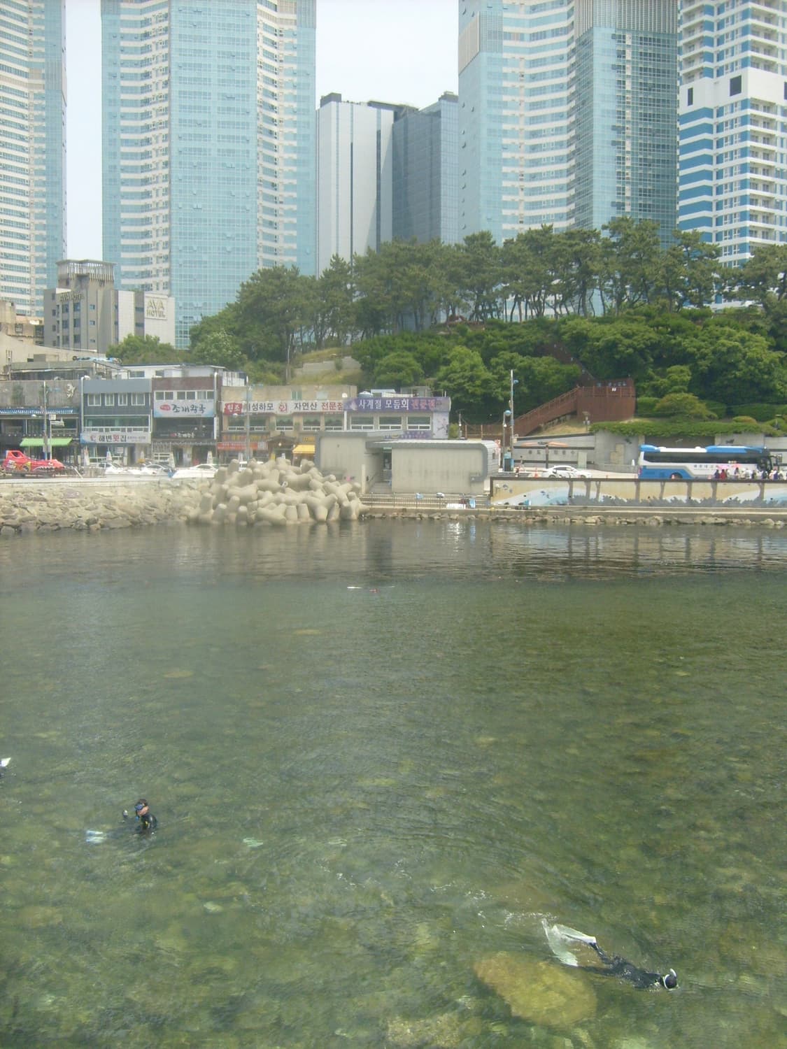 디지털 카메라 삼성 케녹스 디카 상품이미지4